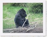 Dierentuin Burgers  Zoo 101 * 3648 x 2736 * (6.5MB)